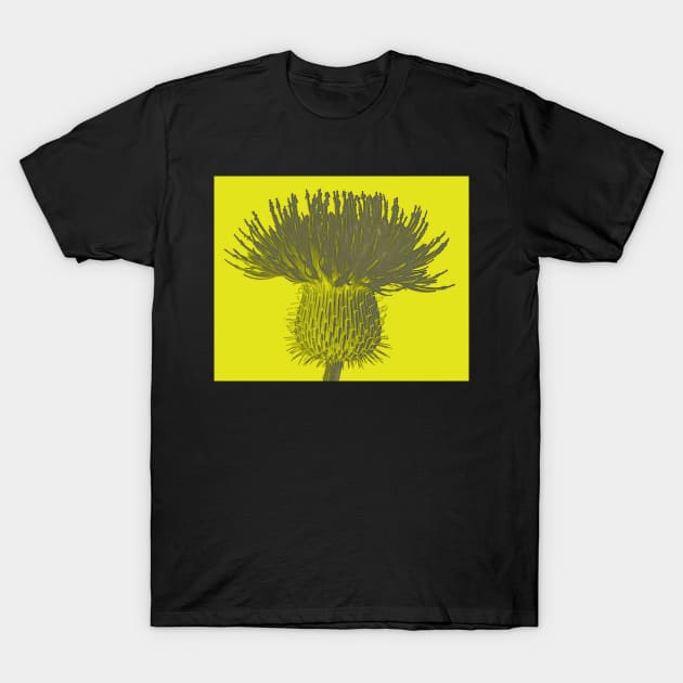 Yellow Thistle T-Shirt by HIghlandkings